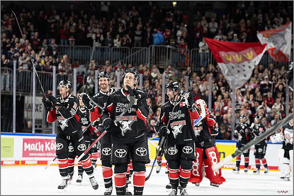 PENNY DEL 1; Kölner Haie - Nürnberger Ice Tigers; Köln, 26.11.2024