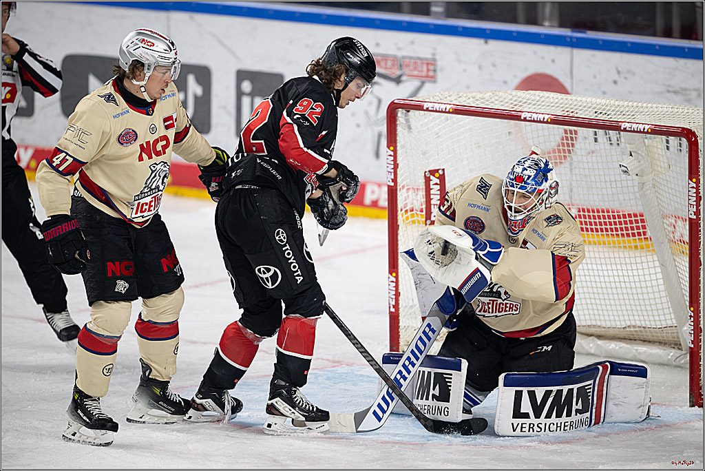 PENNY DEL 1; Kölner Haie - Nürnberger Ice Tigers; Köln, 26.11.2024