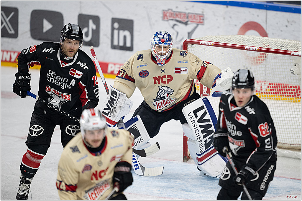 PENNY DEL 1; Kölner Haie - Nürnberger Ice Tigers; Köln, 26.11.2024