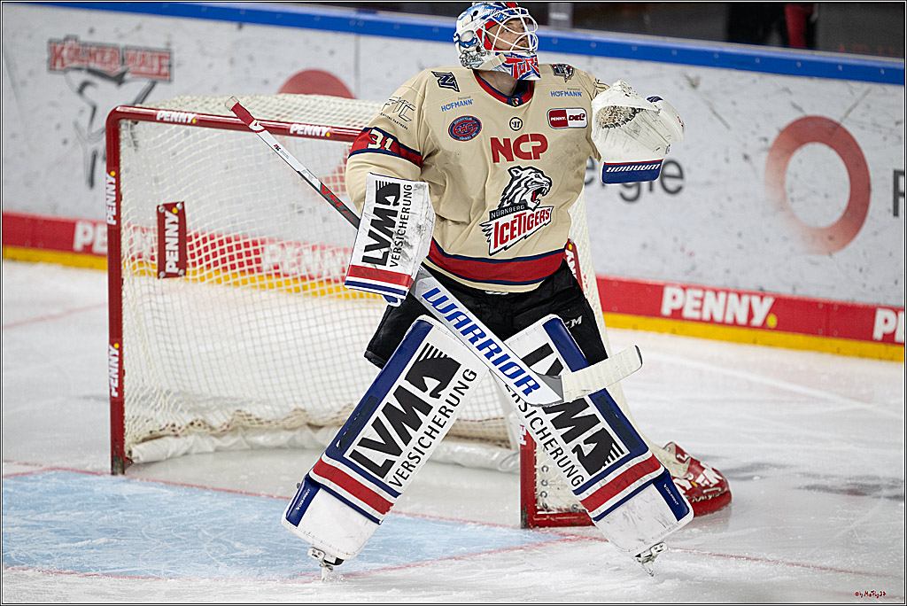 PENNY DEL 1; Kölner Haie - Nürnberger Ice Tigers; Köln, 26.11.2024