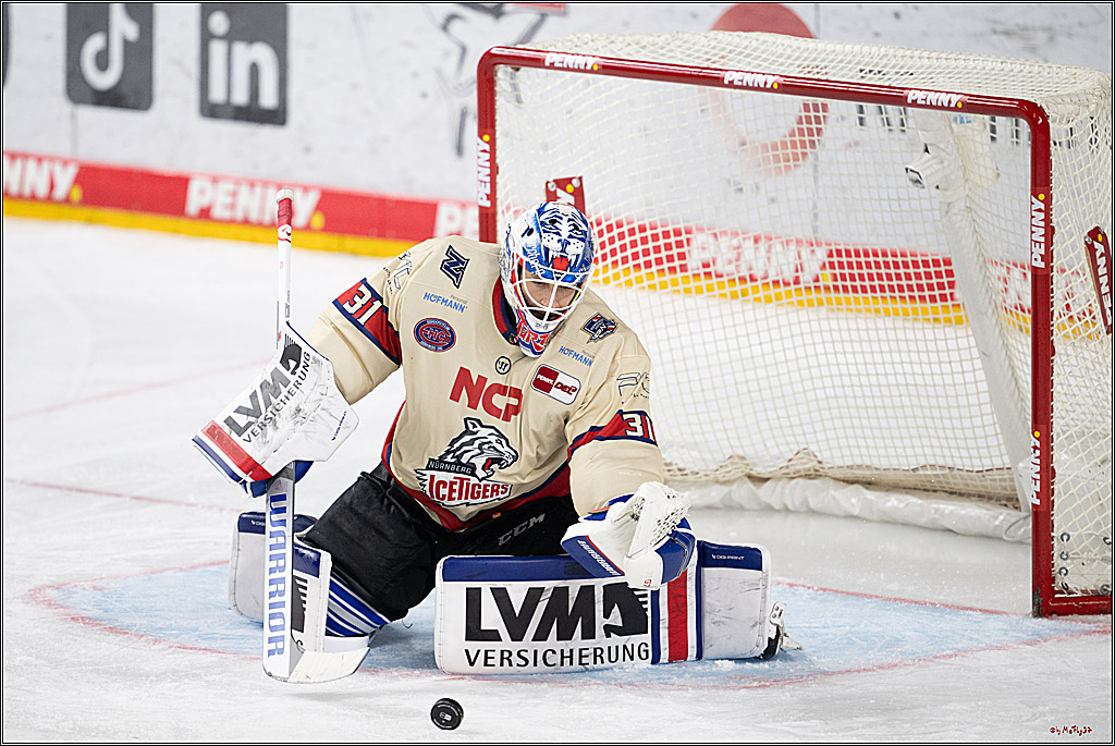 PENNY DEL 1; Kölner Haie - Nürnberger Ice Tigers; Köln, 26.11.2024