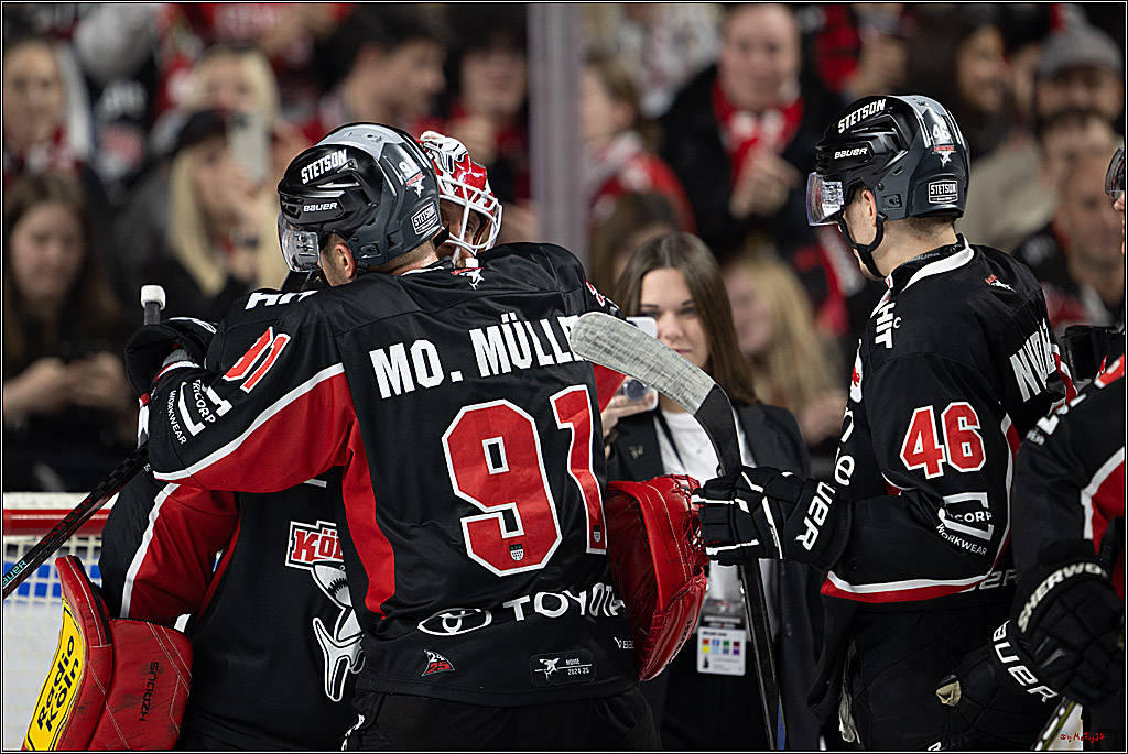 PENNY DEL 1; Kölner Haie - Nürnberger Ice Tigers; Köln, 26.11.2024