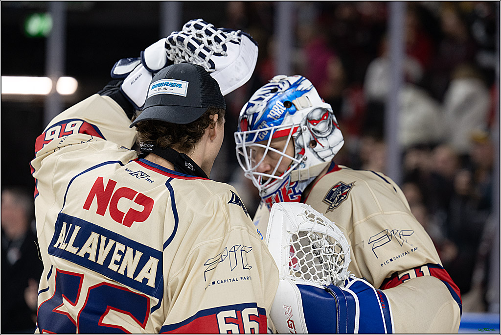 PENNY DEL; Koelner Haie-Nuernberger Ice Tigers; Koeln, 26.11.2024