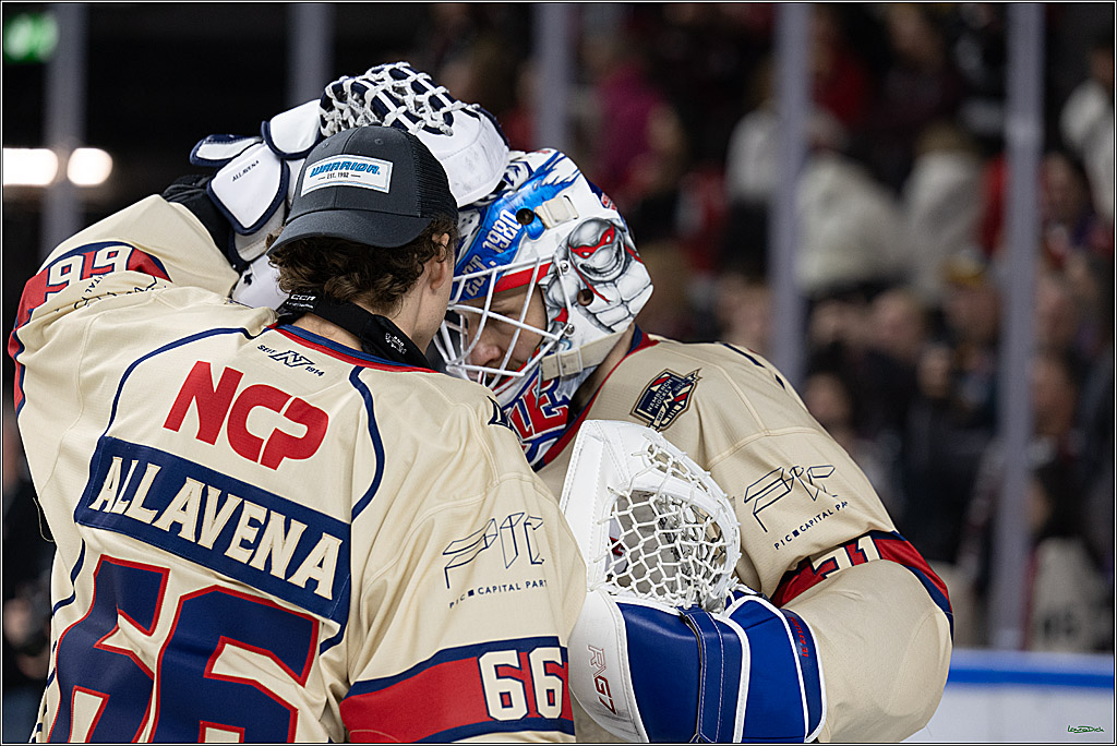 PENNY DEL; Koelner Haie-Nuernberger Ice Tigers; Koeln, 26.11.2024