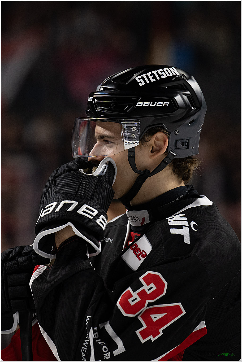 PENNY DEL; Koelner Haie-Nuernberger Ice Tigers; Koeln, 26.11.2024