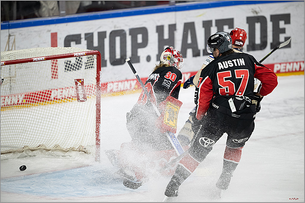 PENNY DEL 1; Kölner Haie - Schwenninger Wild Wings; Köln, 01.12.2024