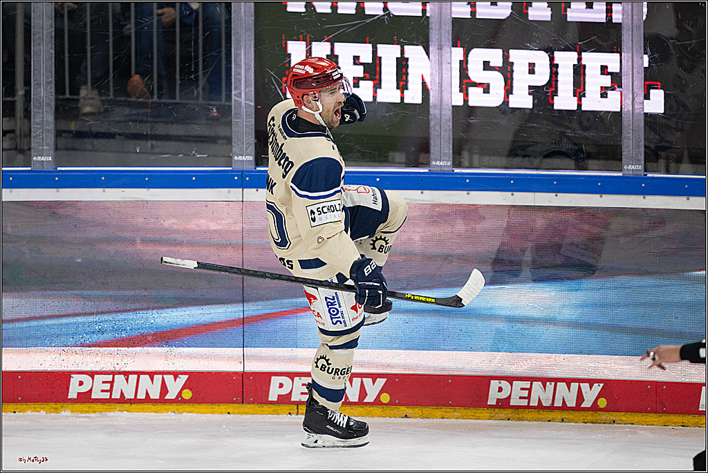 PENNY DEL 1; Kölner Haie - Schwenninger Wild Wings; Köln, 01.12.2024