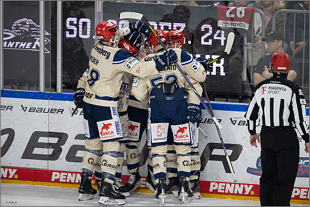 PENNY DEL 1; Kölner Haie - Schwenninger Wild Wings; Köln, 01.12.2024