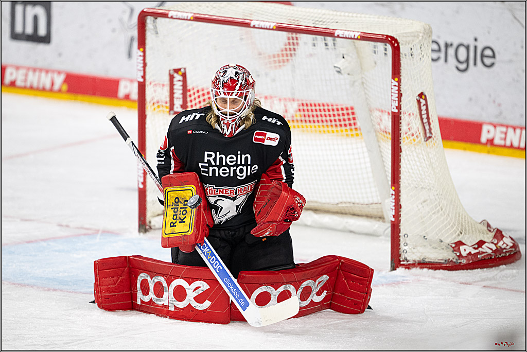 PENNY DEL 1; Kölner Haie - Schwenninger Wild Wings; Köln, 01.12.2024