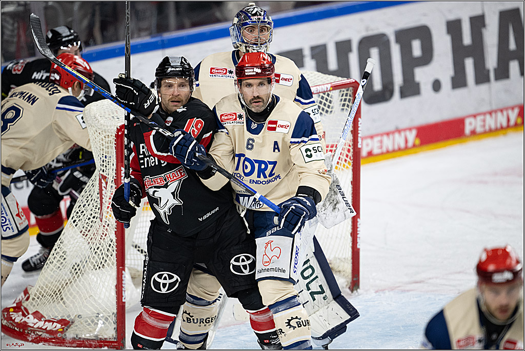 PENNY DEL 1; Kölner Haie - Schwenninger Wild Wings; Köln, 01.12.2024