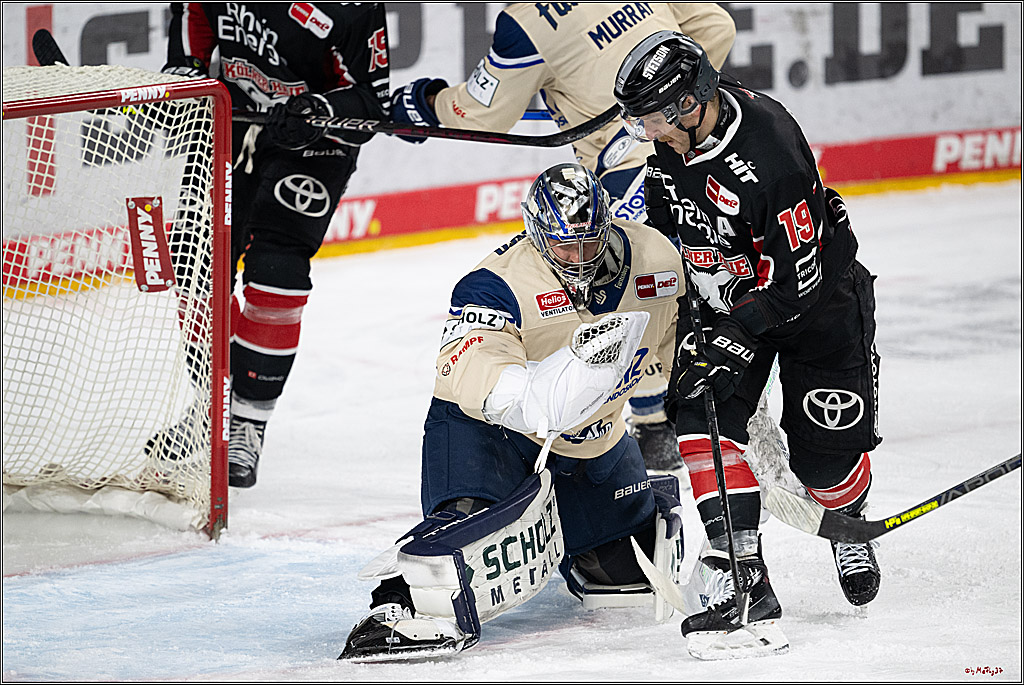 PENNY DEL 1; Kölner Haie - Schwenninger Wild Wings; Köln, 01.12.2024