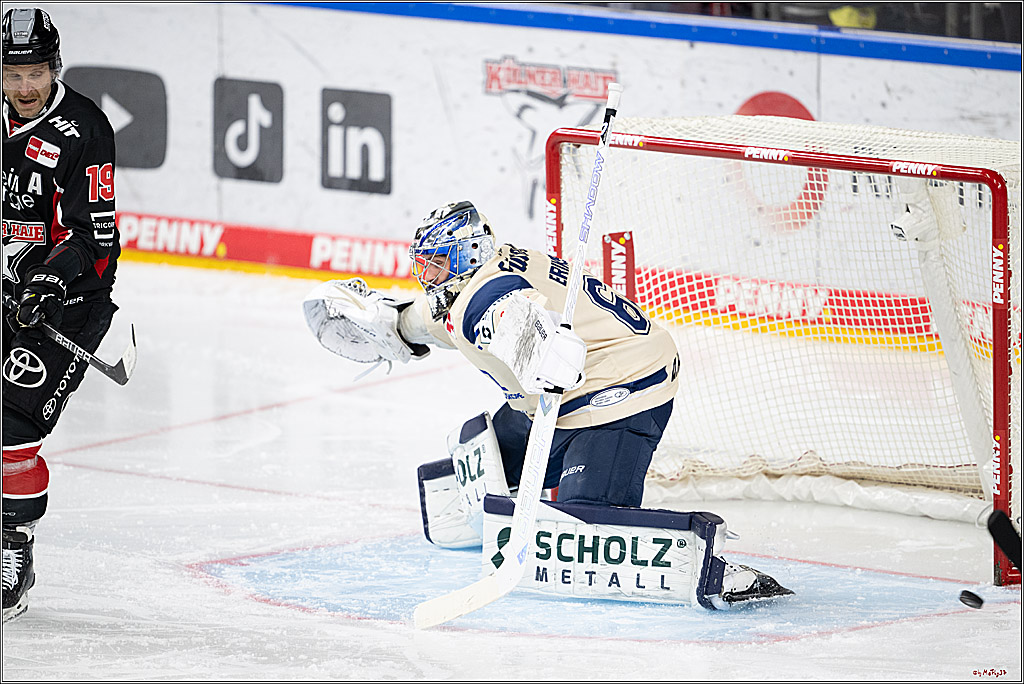 PENNY DEL 1; Kölner Haie - Schwenninger Wild Wings; Köln, 01.12.2024