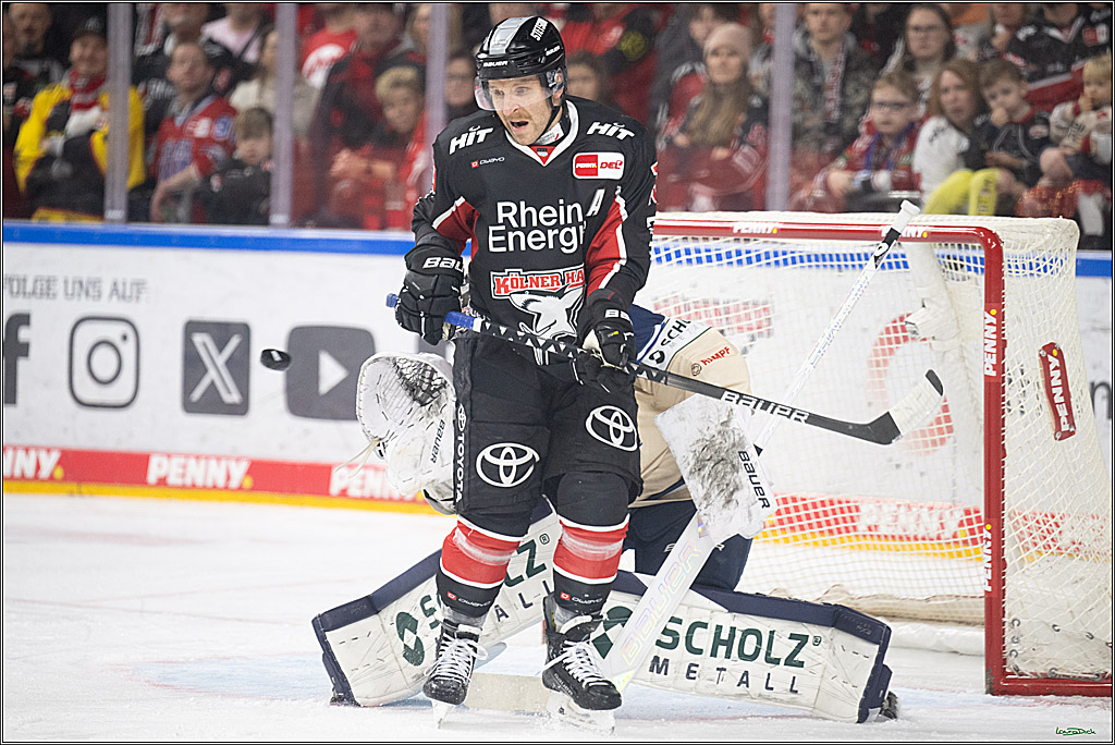 PENNY DEL; Koelner Haie-Schwenninger Wild Wings; Koeln, 01.12.2024