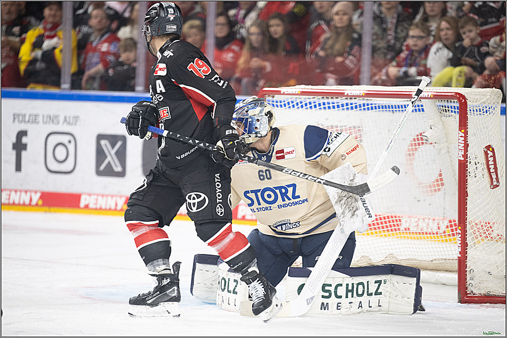 PENNY DEL; Koelner Haie-Schwenninger Wild Wings; Koeln, 01.12.2024