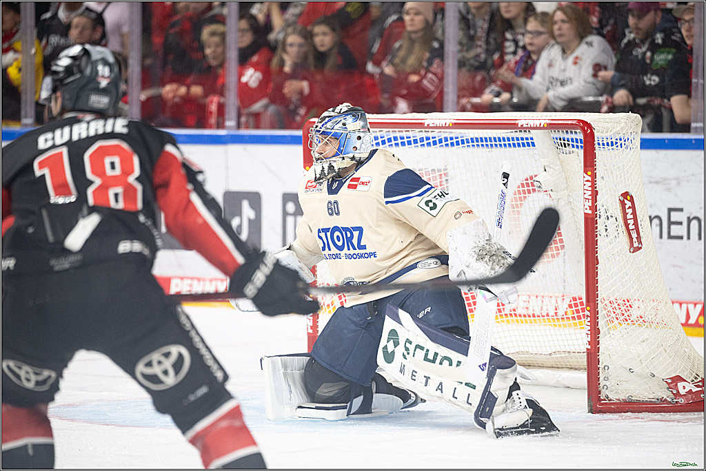 PENNY DEL; Koelner Haie-Schwenninger Wild Wings; Koeln, 01.12.2024
