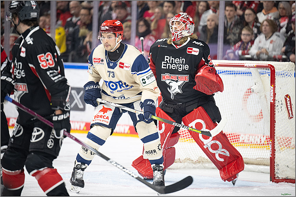PENNY DEL; Koelner Haie-Schwenninger Wild Wings; Koeln, 01.12.2024