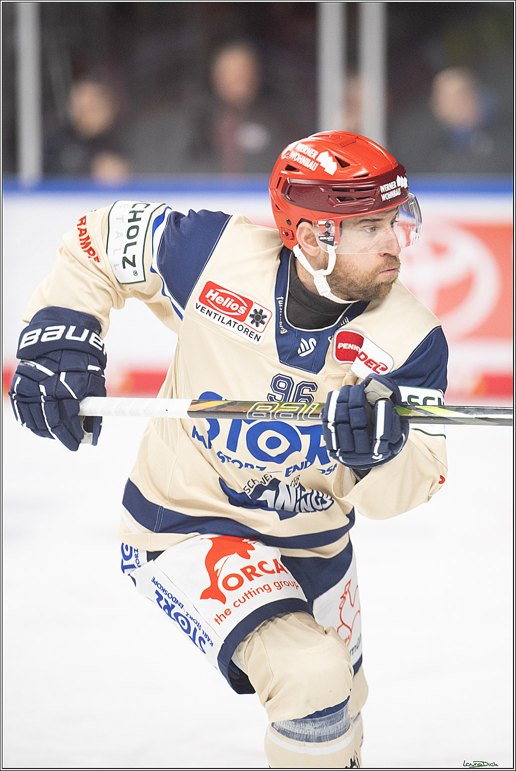PENNY DEL; Koelner Haie-Schwenninger Wild Wings; Koeln, 01.12.2024