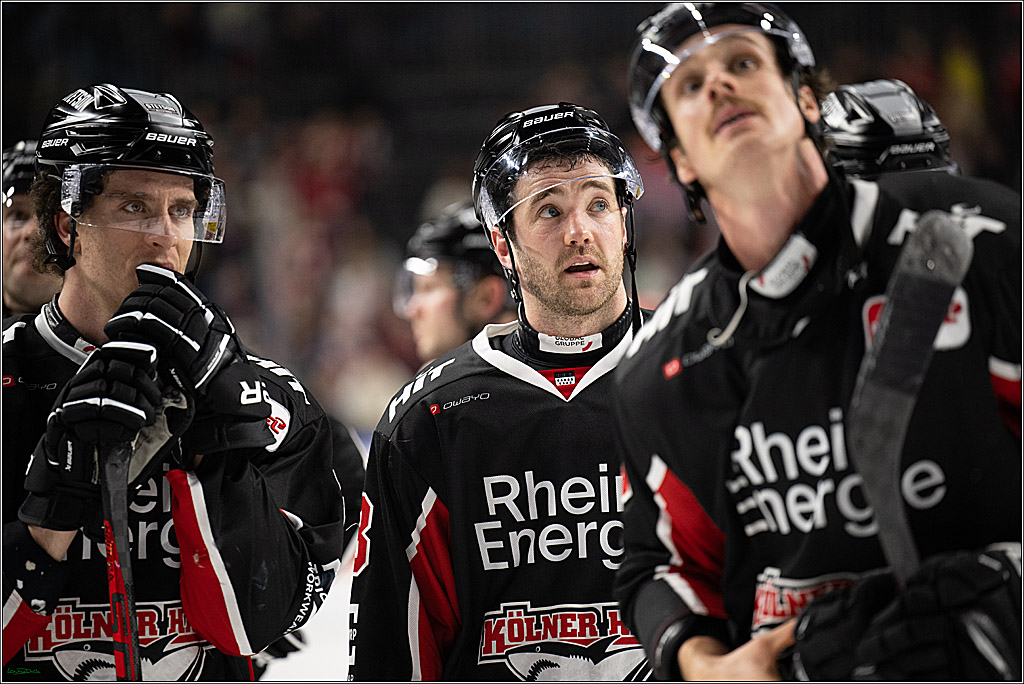 PENNY DEL; Koelner Haie-Schwenninger Wild Wings; Koeln, 01.12.2024