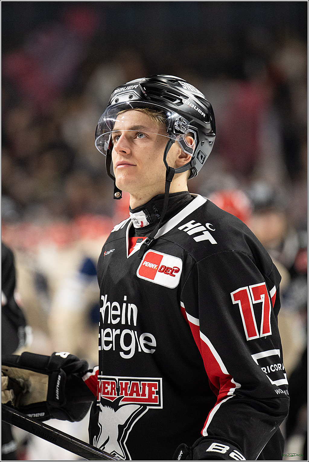 PENNY DEL; Koelner Haie-Schwenninger Wild Wings; Koeln, 01.12.2024