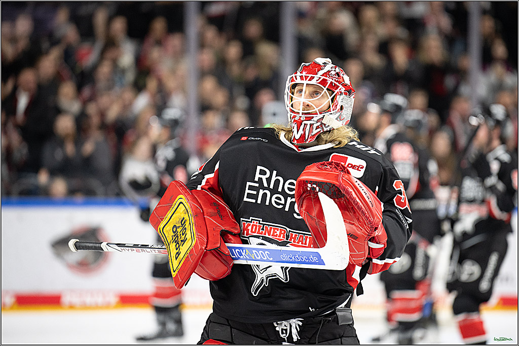 PENNY DEL; Koelner Haie-Schwenninger Wild Wings; Koeln, 01.12.2024