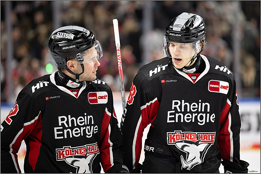 PENNY DEL; Koelner Haie-Schwenninger Wild Wings; Koeln, 01.12.2024