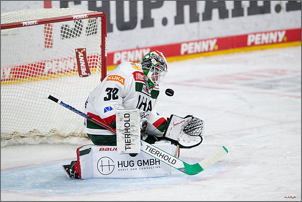 PENNY DEL 1; Kölner Haie - Augsburger Panther; Köln, 08.12.2024