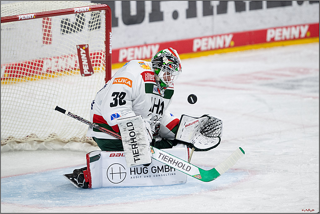 PENNY DEL 1; Kölner Haie - Augsburger Panther; Köln, 08.12.2024