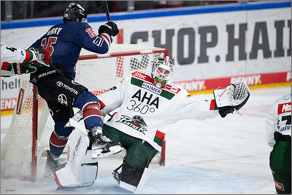 PENNY DEL 1; Kölner Haie - Augsburger Panther; Köln, 08.12.2024