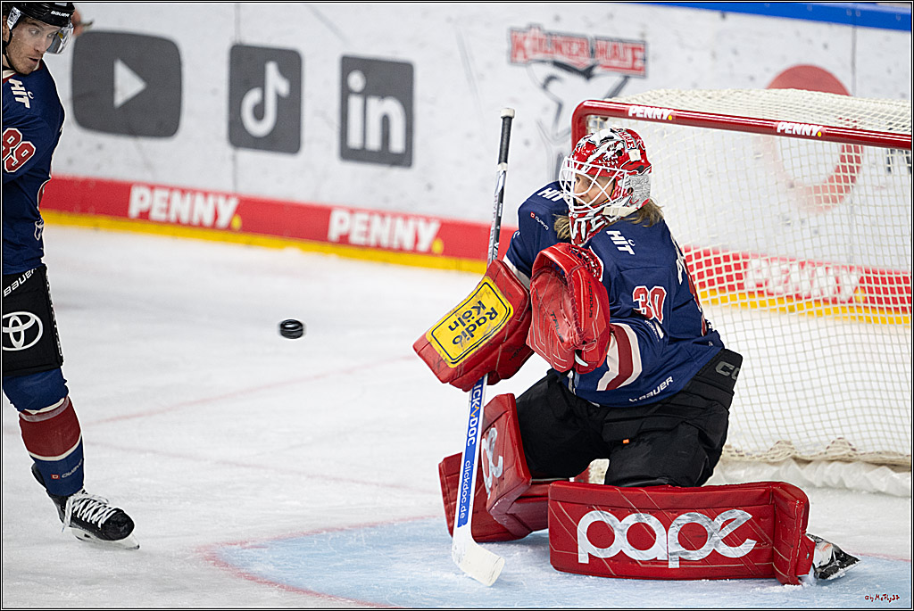 PENNY DEL 1; Kölner Haie - Augsburger Panther; Köln, 08.12.2024