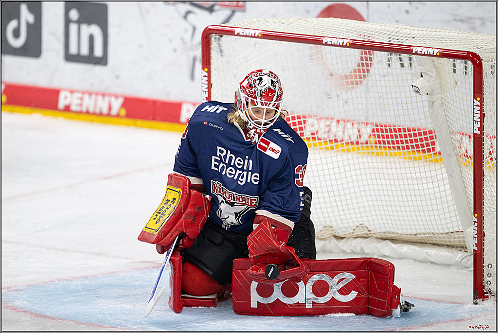 PENNY DEL 1; Kölner Haie - Augsburger Panther; Köln, 08.12.2024