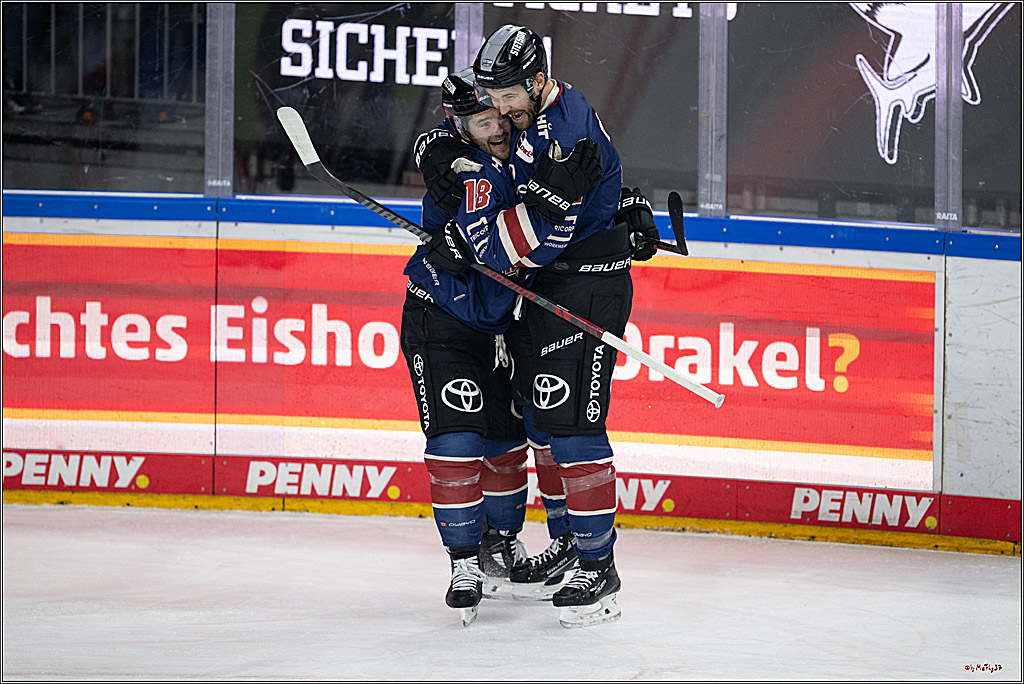 PENNY DEL 1; Kölner Haie - Augsburger Panther; Köln, 08.12.2024