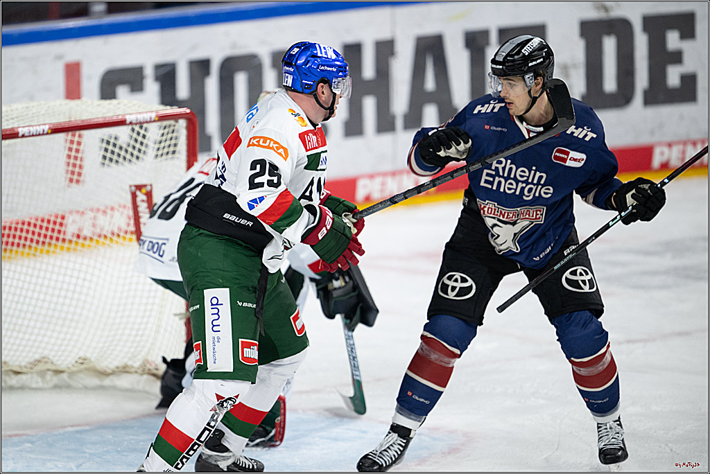 PENNY DEL 1; Kölner Haie - Augsburger Panther; Köln, 08.12.2024