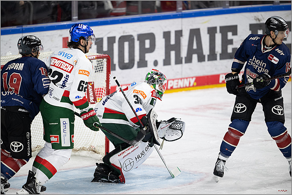 PENNY DEL 1; Kölner Haie - Augsburger Panther; Köln, 08.12.2024