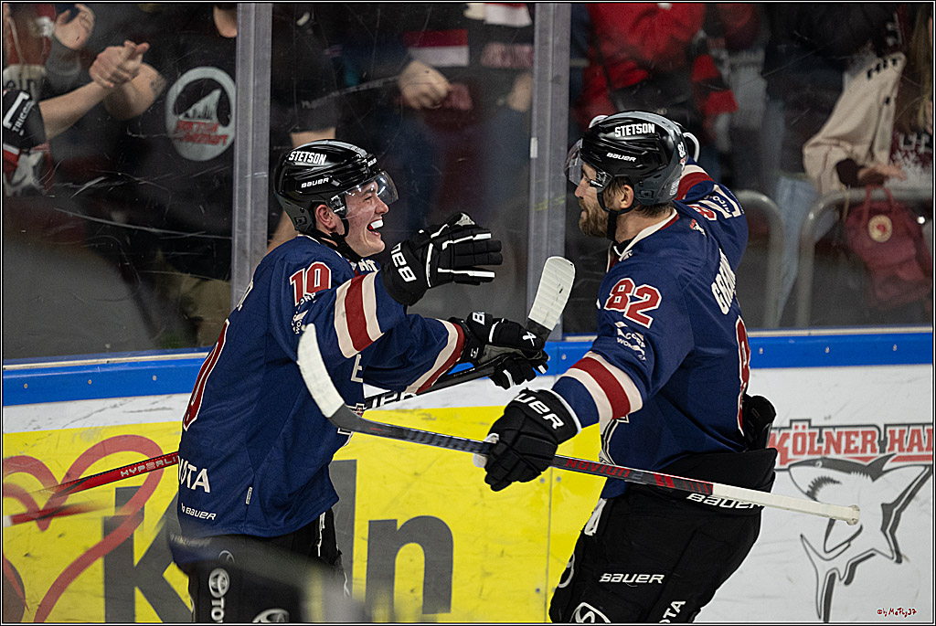 PENNY DEL 1; Kölner Haie - Augsburger Panther; Köln, 08.12.2024