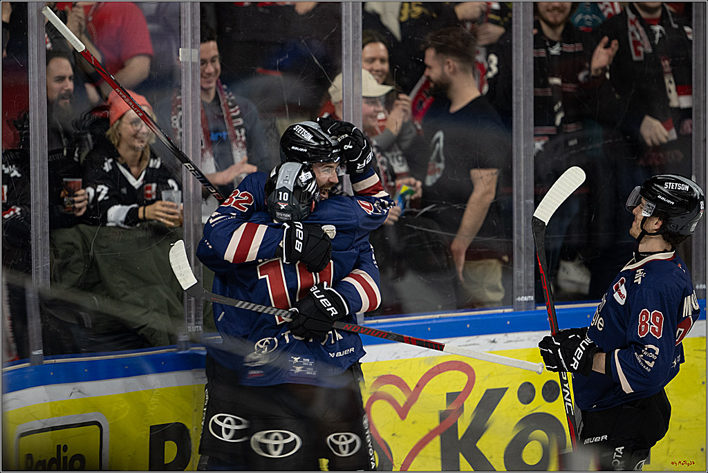 PENNY DEL 1; Kölner Haie - Augsburger Panther; Köln, 08.12.2024