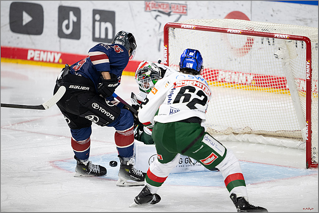 PENNY DEL 1; Kölner Haie - Augsburger Panther; Köln, 08.12.2024