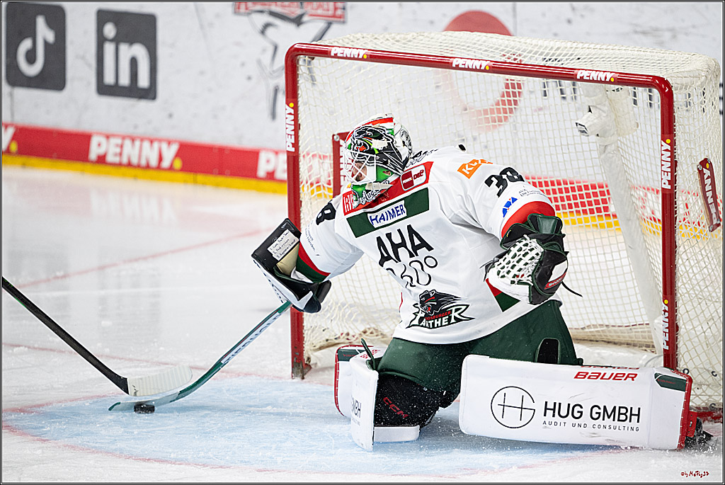 PENNY DEL 1; Kölner Haie - Augsburger Panther; Köln, 08.12.2024