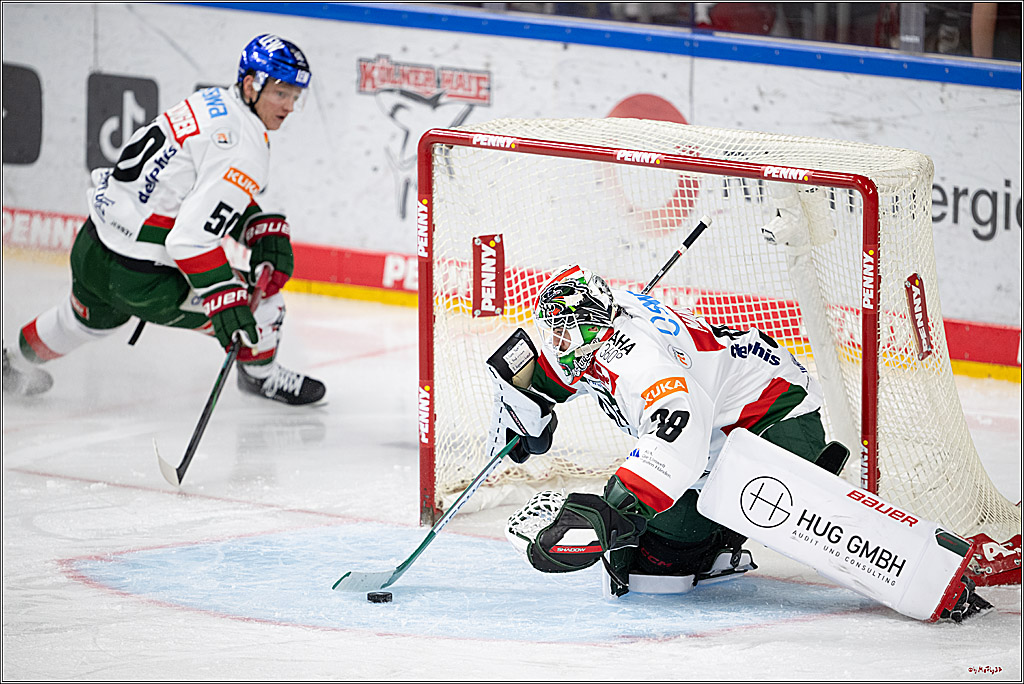 PENNY DEL 1; Kölner Haie - Augsburger Panther; Köln, 08.12.2024