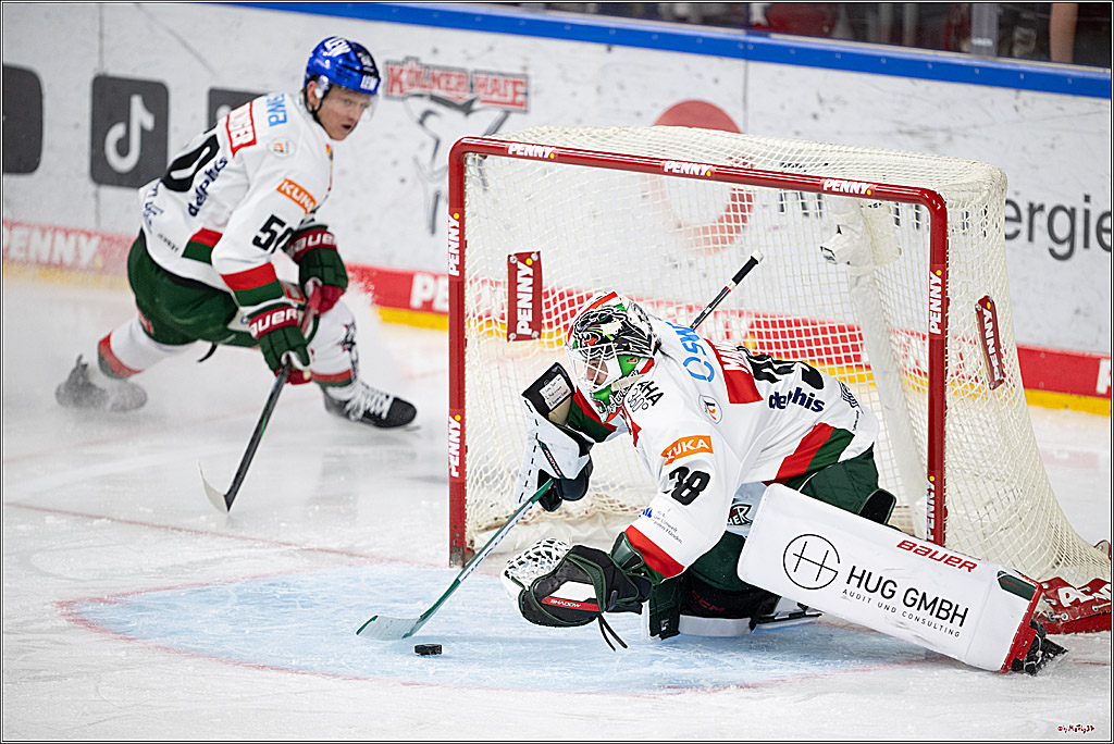 PENNY DEL 1; Kölner Haie - Augsburger Panther; Köln, 08.12.2024