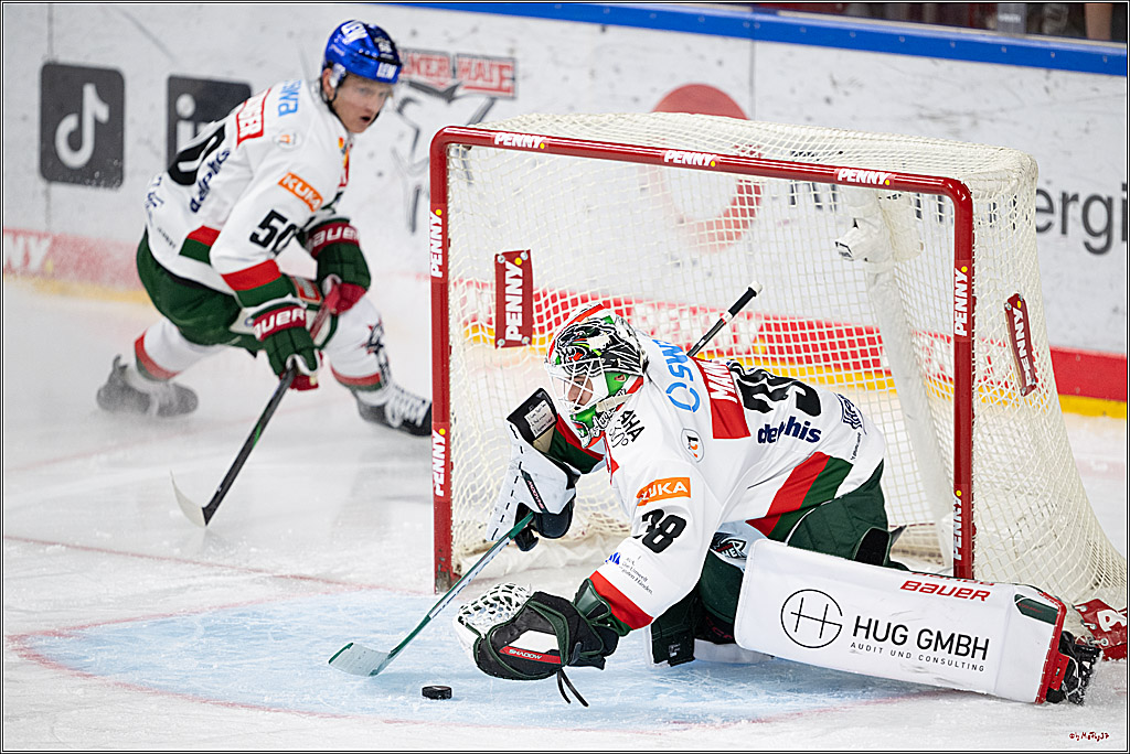 PENNY DEL 1; Kölner Haie - Augsburger Panther; Köln, 08.12.2024