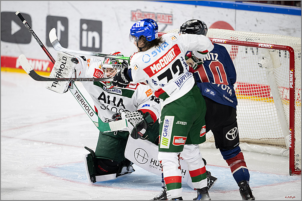 PENNY DEL 1; Kölner Haie - Augsburger Panther; Köln, 08.12.2024