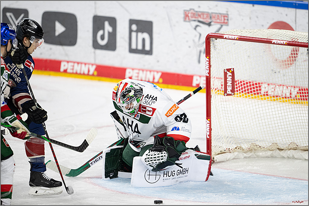 PENNY DEL 1; Kölner Haie - Augsburger Panther; Köln, 08.12.2024