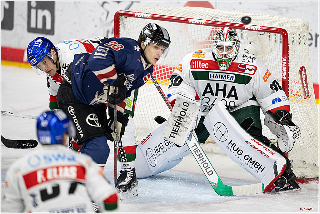 PENNY DEL 1; Kölner Haie - Augsburger Panther; Köln, 08.12.2024