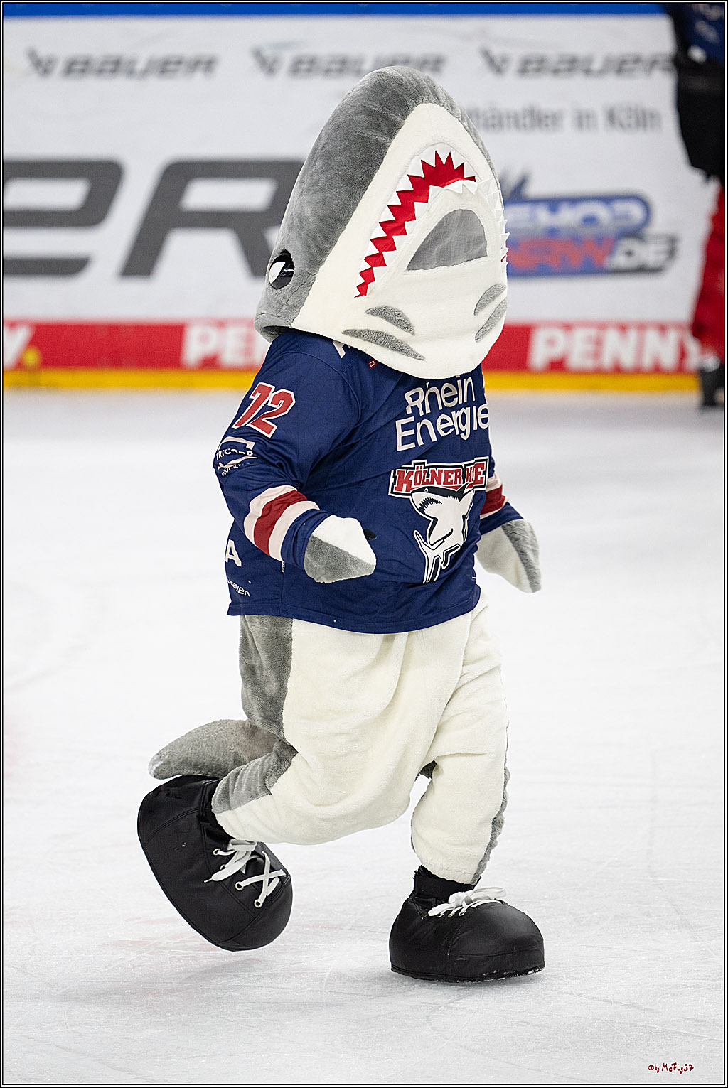 PENNY DEL 1; Kölner Haie - Augsburger Panther; Köln, 08.12.2024