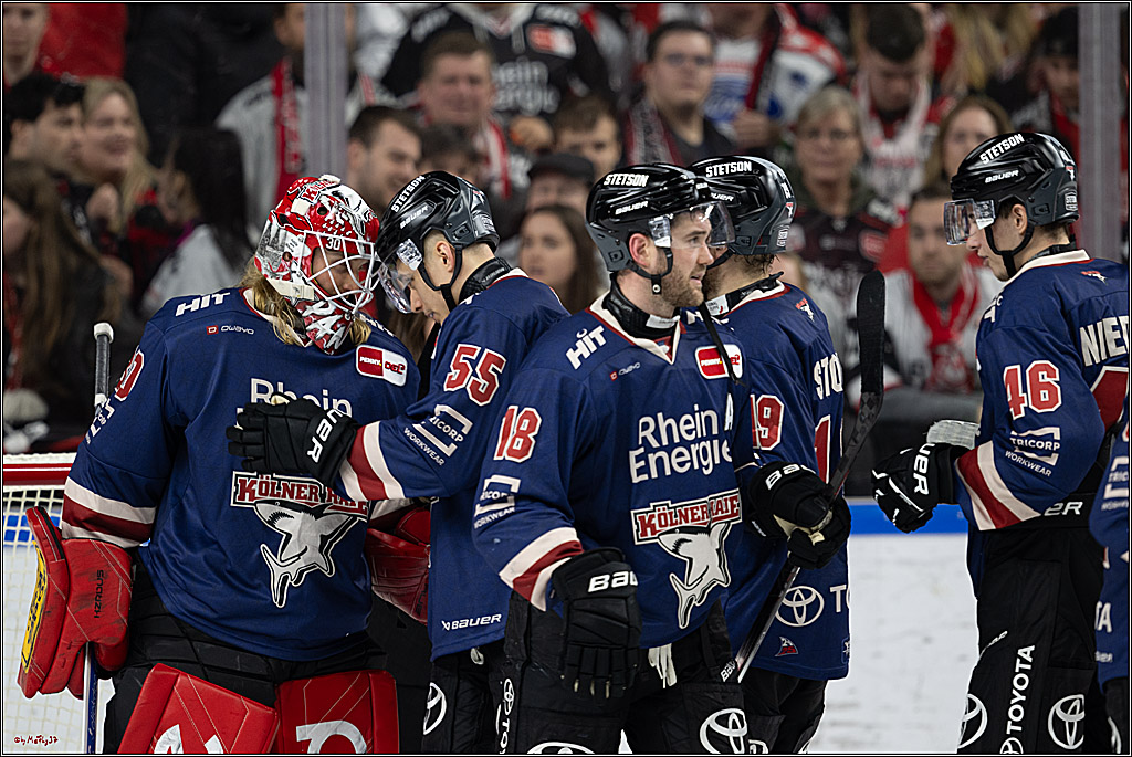 PENNY DEL 1; Kölner Haie - Augsburger Panther; Köln, 08.12.2024