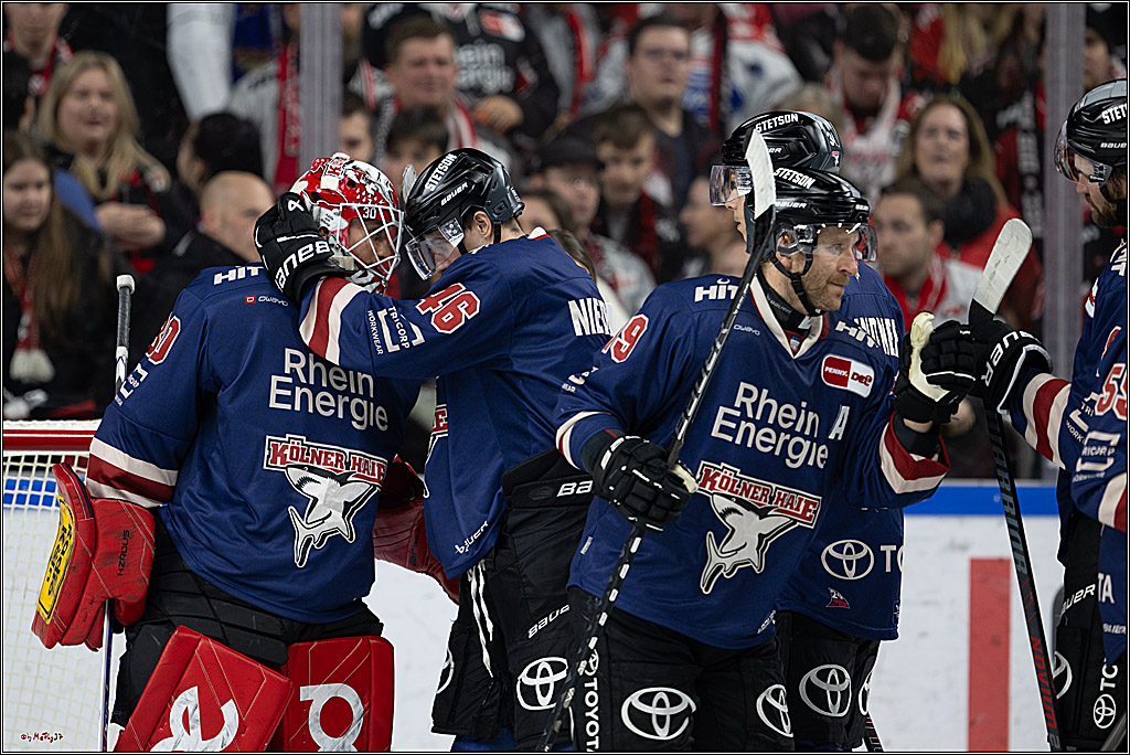 PENNY DEL 1; Kölner Haie - Augsburger Panther; Köln, 08.12.2024