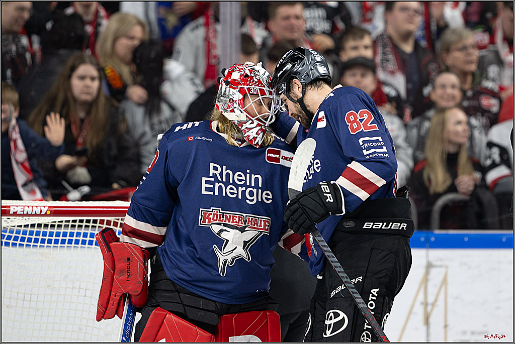 PENNY DEL 1; Kölner Haie - Augsburger Panther; Köln, 08.12.2024