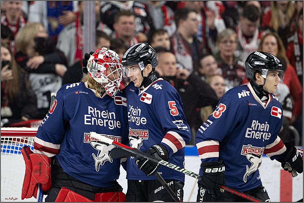 PENNY DEL 1; Kölner Haie - Augsburger Panther; Köln, 08.12.2024