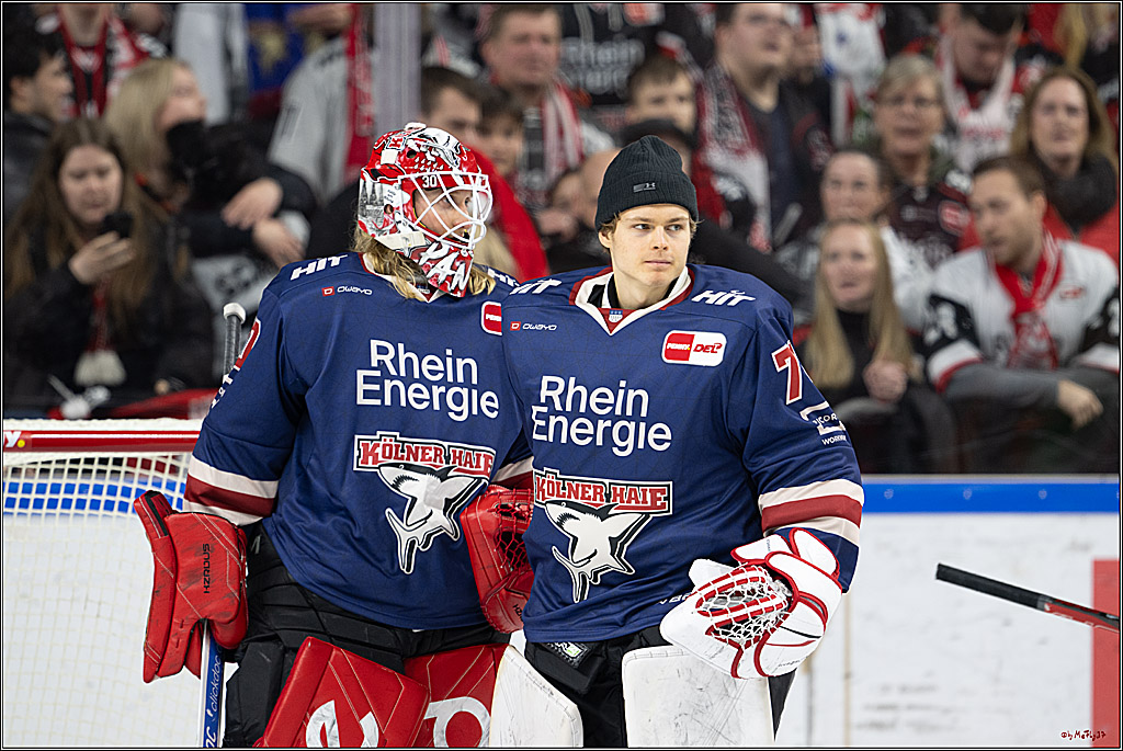 PENNY DEL 1; Kölner Haie - Augsburger Panther; Köln, 08.12.2024