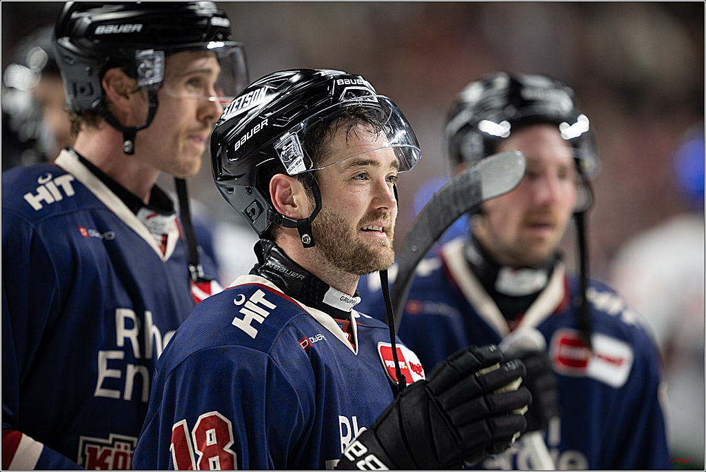 PENNY DEL 1; Kölner Haie - Augsburger Panther; Köln, 08.12.2024